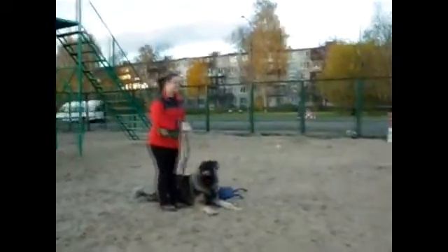 Отработка отдельных элементом ОКД смотреть онлайн
