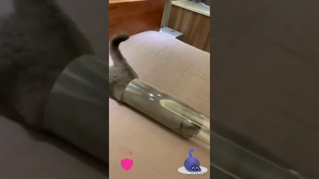 Даже в тонкую трубу все равно я заползу