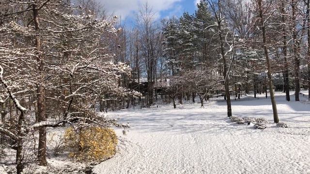 Зимнее утро 16 апреля.