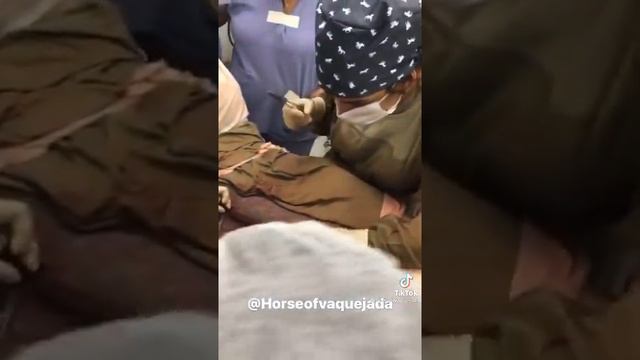 Как оперируют лошадей в случае колик. смотреть онлайн