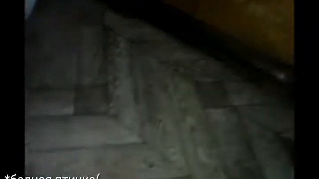 МУРЗИК ПОЙМАЛ ПТИЦУ! ОХОТНИК ЕЩЁ ТОТ) | Истории с Мурзиком смотреть онлайн