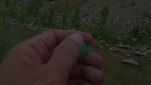 Интересные кормушки попадаются 46 смотреть онлайн