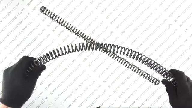 Пружины передней вилки   МИНСК   компл  RGC...