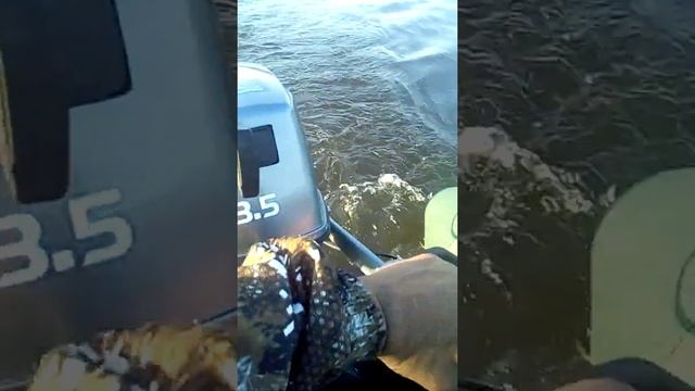 Обкатка лодочного мотора микатсу 35