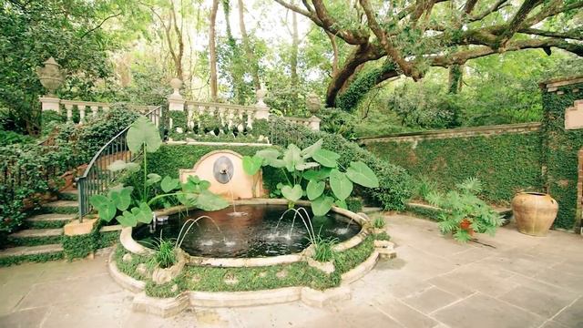 Natchez: Patio Paradise смотреть онлайн