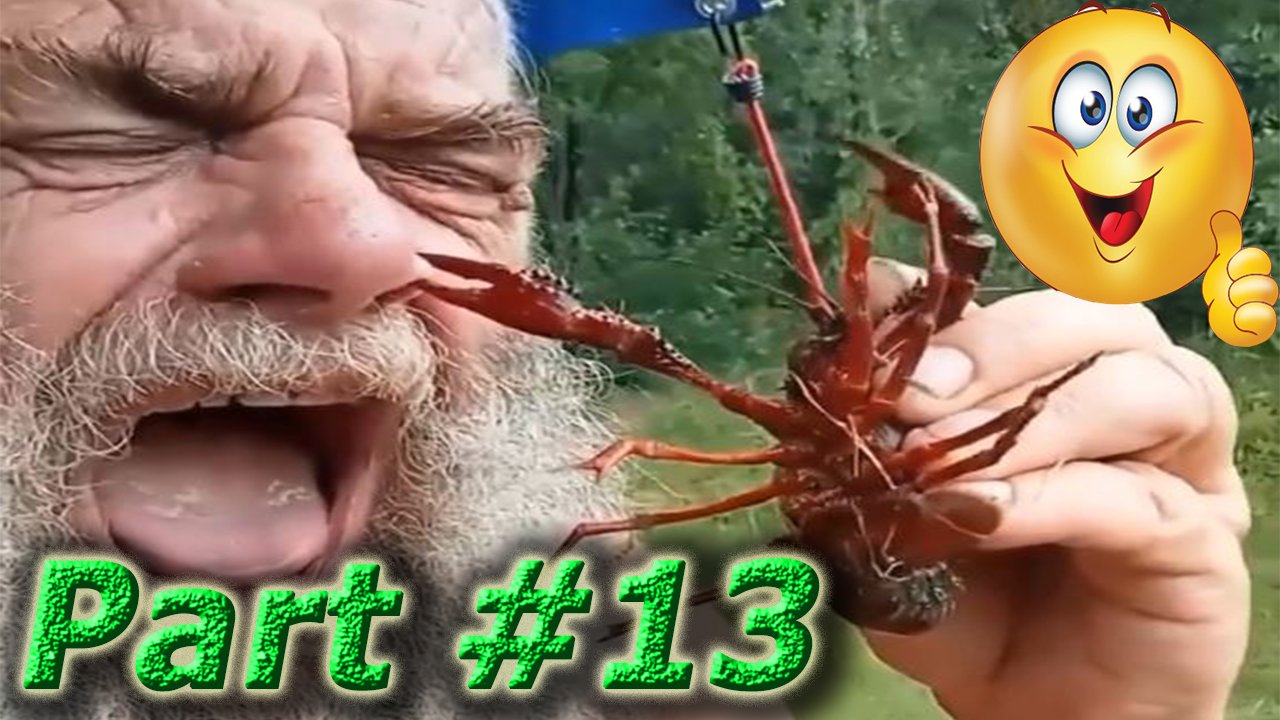 NEW! Лучшие Смешные Видео Март 2024 года. Part #13 #funny #funnyvideo #humor #new