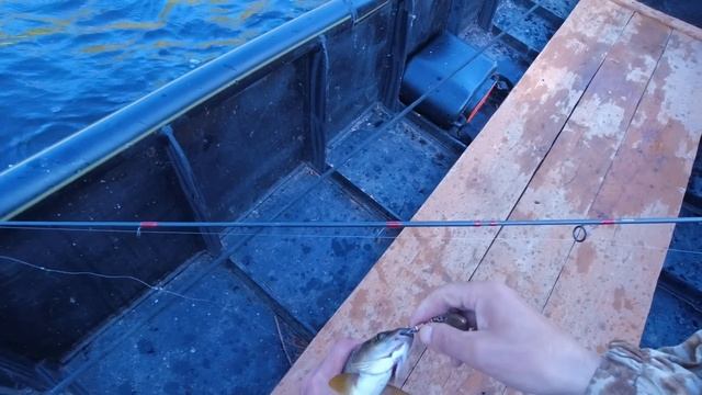 РЫБА КЛЮЁТ ЗДЕСЬ НА ВСЕ ПРИМАНКИ / ЛОВЛЯ ХАРИУСА С ЛОДКИ / РЫБАЛКА НА СЕВЕРЕ ВДАЛИ ОТ ЦИВИЛИЗАЦИИ. смотреть онлайн