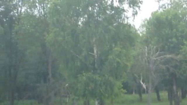 Заочная экскурсия в зоосад.Буйничи.Беларусь. Могилёвский район смотреть онлайн