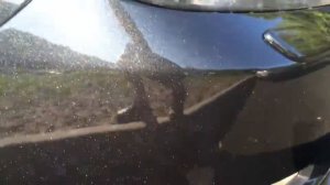 Покрасили!Черный ксералик часть 2