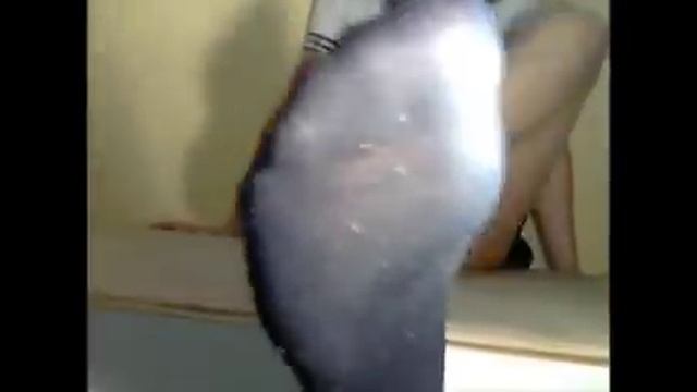 Sniff my stinky school socks! Teasing with sweaty school socks! смотреть онлайн