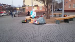 Как выглядит Зимняя вишня, спустя год...