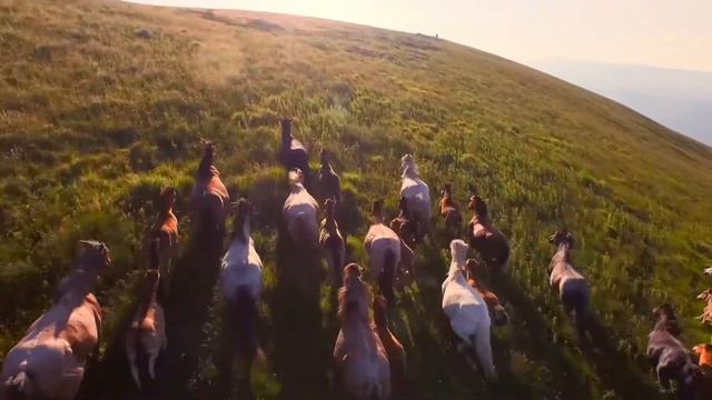 Mercedes-Benz Concept X-Class - Trailer смотреть онлайн