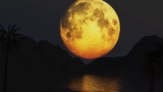 Super moon view vue animation смотреть онлайн