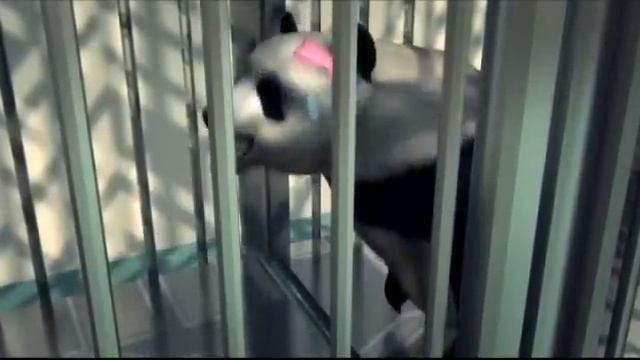 Тайваньскую панду Юань-цзай отселили от матери смотреть онлайн