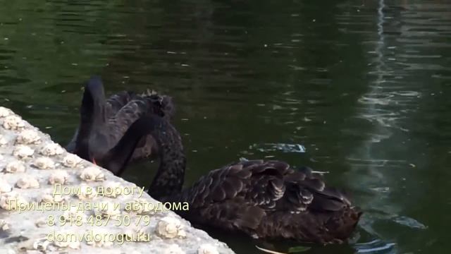 Парк-отель Поляна сказок в Ялте для домов на колесах. Видеообзор. смотреть онлайн