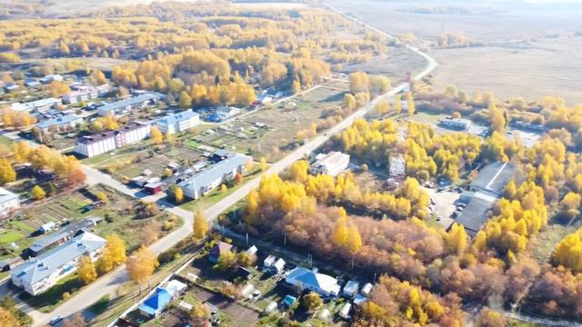 Вача Осень DJI Mini2