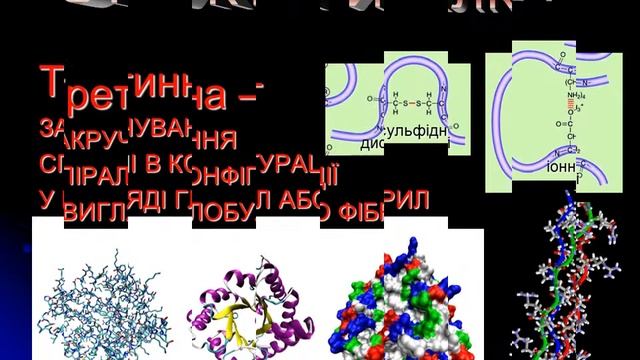 4 Білки смотреть онлайн