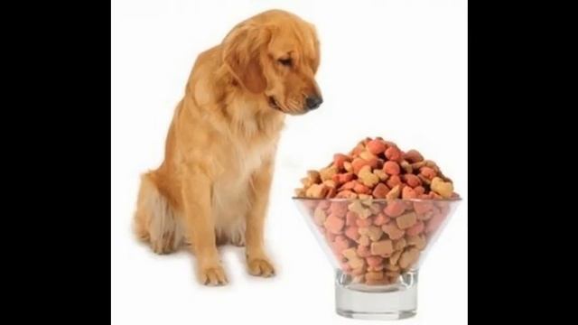 natures protection корм для собак смотреть онлайн