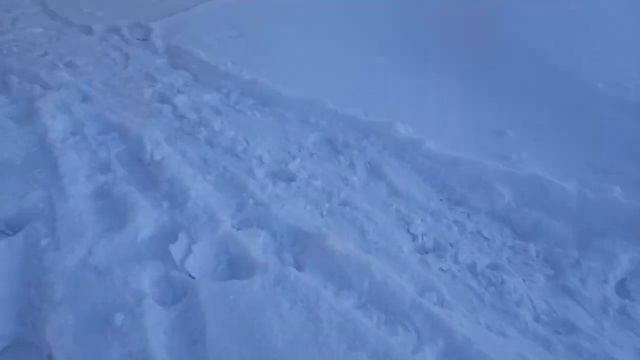 котик пряник это что-то смотреть онлайн