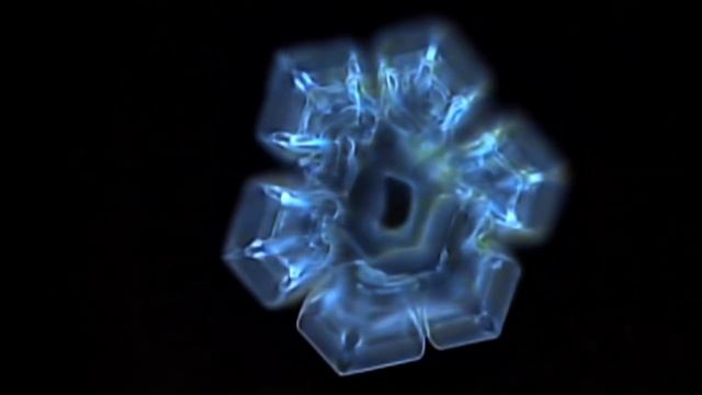 Masaru Emoto's Experiment in Gratitude смотреть онлайн