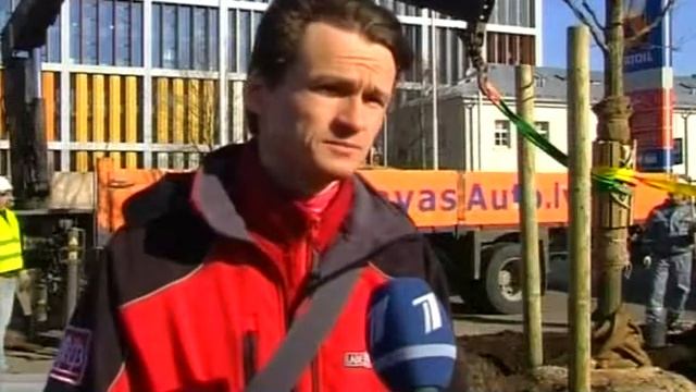 пересадка дуба смотреть онлайн