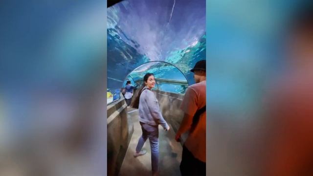 Самый большой Legoland в мире!