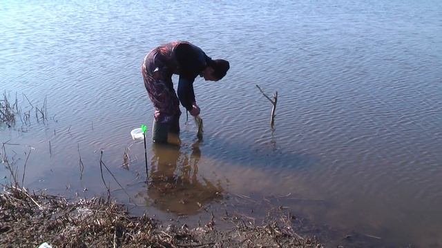 спортивная рыбалка поймал отпусти Чамлык 2013 смотреть онлайн