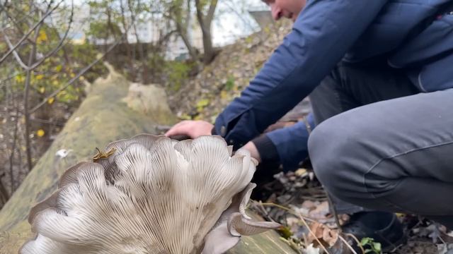 7 КИЛОГРАММ ВЕШЕНКИ!!! За 10 МИНУТ