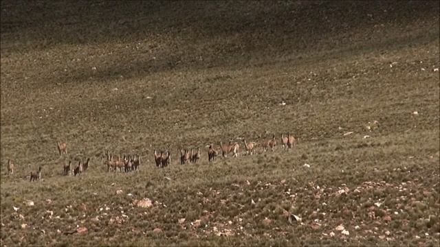 Expedition To The Sierra De Zenta, Jujuy Province, Argentina