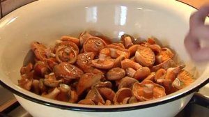 Маринуем рыжики. Проверено на себе