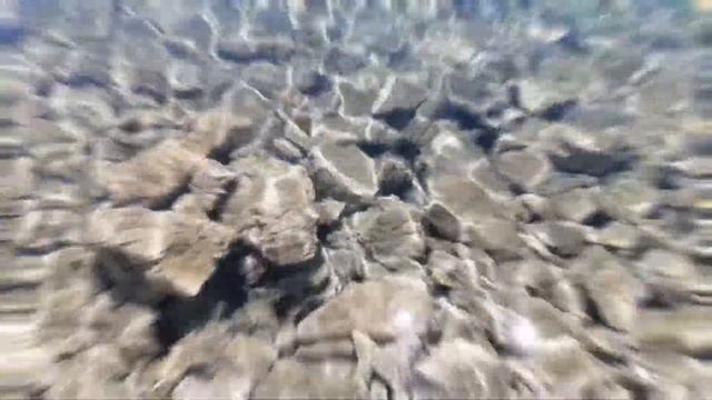 Почему турки купаются в резиновой обуви? Причина - морские ежи. #мармарис #эгейскиеострова #турция смотреть онлайн