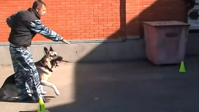 Выборка смотреть онлайн