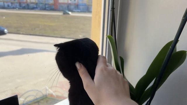 Разговорный Влог: распаковка косметики, укладка на брашинг, реклама на канале ???? смотреть онлайн