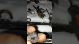 клиент, и очень туго крутиться пжд 30