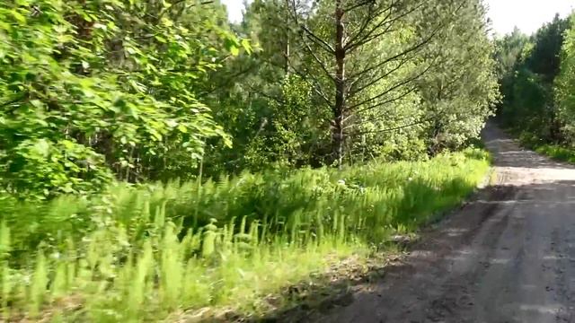 ДЕНЬ РОССИИ | САУНА | КЛЕЩ смотреть онлайн