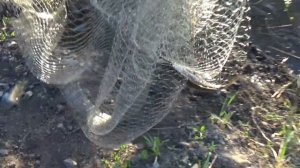 Открытие сезона кастинговой сети