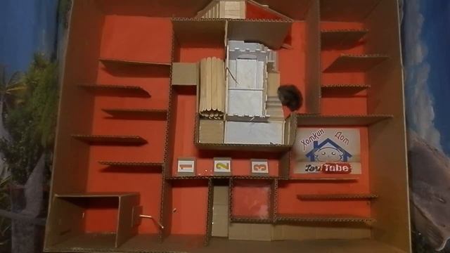 Лабиринт для хомяка. Полоса препятствий. Что пошло не так? смотреть онлайн
