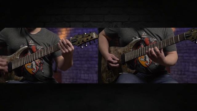 Schecter OMEN ELITE 7 CHAR смотреть онлайн