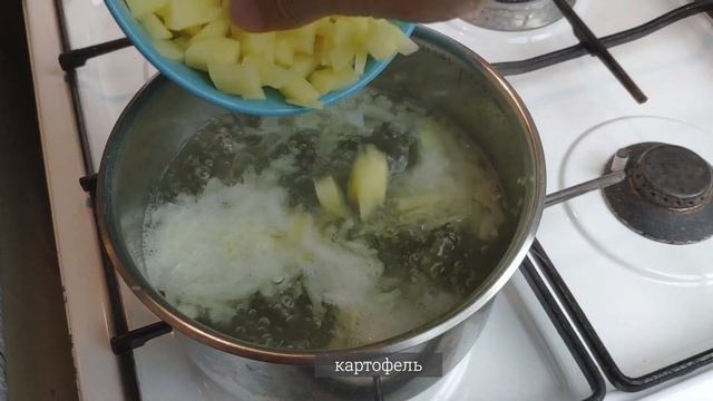 Простой суп из свежих лесных грибов смотреть онлайн