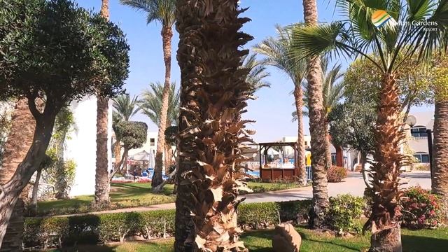 Sultan Gardens 5 ★★★★★ 2023 смотреть онлайн