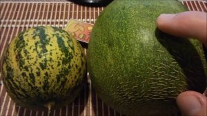 Дыня Золото Скифов