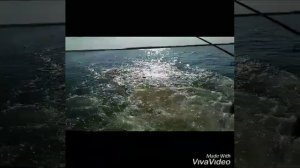 Настоящая рыбалка на озере Лысый лиман