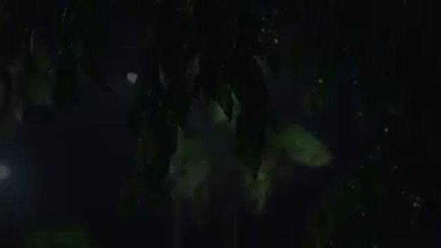 Глубокий сон под тихий звук дождя под фонарем ASMR - Звук дождя сидя на улице, уютная атмосфера смотреть онлайн