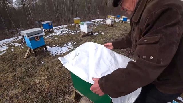 Срочно! Готовим семьи к массовому, весеннему облёту. смотреть онлайн