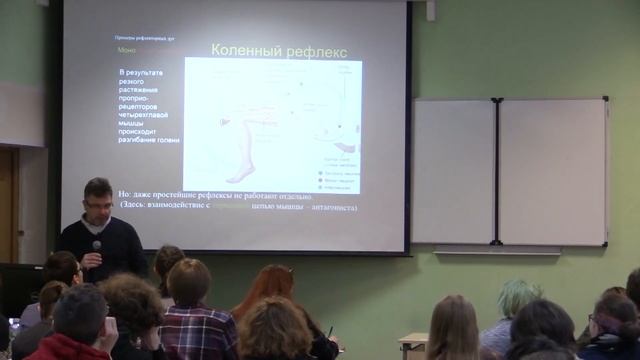 Биология. 10 класс. Ловать М.Л. Физиология человека и животных. Интергативные свойства ЦНС