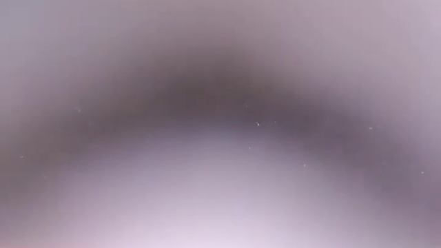 I react to juniorfan and cyberwolf087's commentary on bens Cartoon Network rant part 2 смотреть онлайн