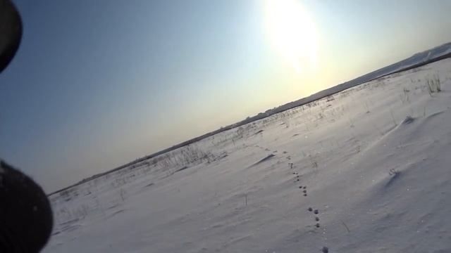 Охота на зайцев - «Между прочим» смотреть онлайн