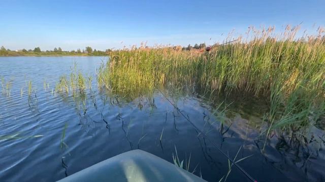 РЫБАЛКА на КРУПНОГО КАРАСЯ! Лучшая секретная насадка для БЕШЕНОГО КЛЕВА! смотреть онлайн