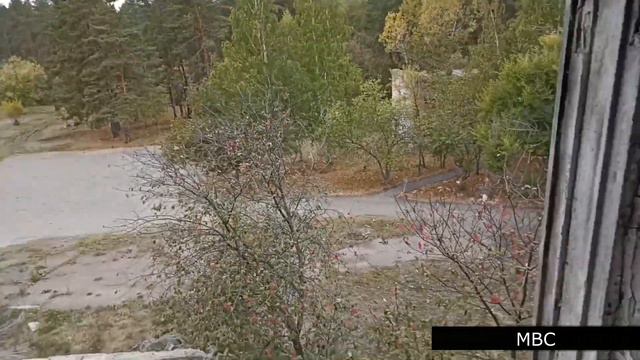 Заброшенная турбаза Алтай в Бийске. MBC