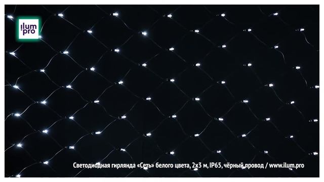 Светодиодная гирлянда «Сеть» белого цвета, 2х3 м, IP65, чёрный провод / Айлюм Про смотреть онлайн